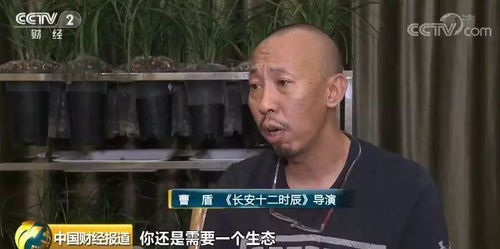 熱播網(wǎng)劇帶火取景地 影視基地成暑期旅游 黑馬