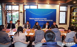 靈山灣影視企業(yè)獲2042萬影視專項(xiàng)資金