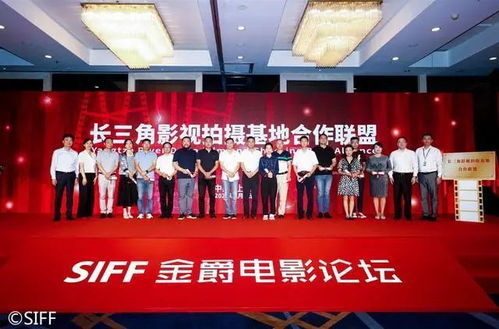 我的前半生 無(wú)名 繁花 阿拉上海 出鏡率 為啥那么高