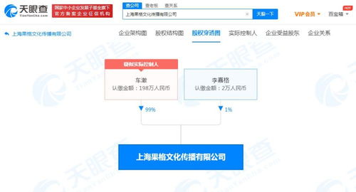 市場營銷策劃 戰(zhàn)略構(gòu)建與執(zhí)行的藝術(shù)